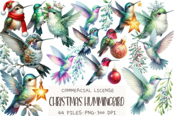 Christmas Hummingbird Clipart: Illustrations for Branding