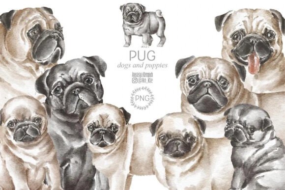 Pugs Dogs Puppies Christmas Halloween Illustrations